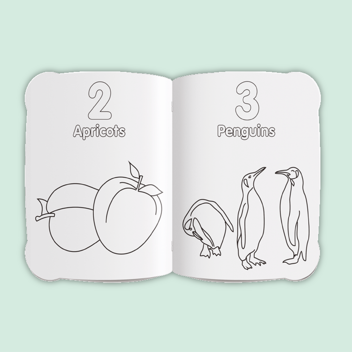 Activity & Colour Fun | Counting