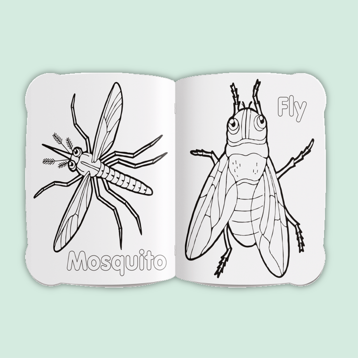 Activity & Colour Fun | Insects
