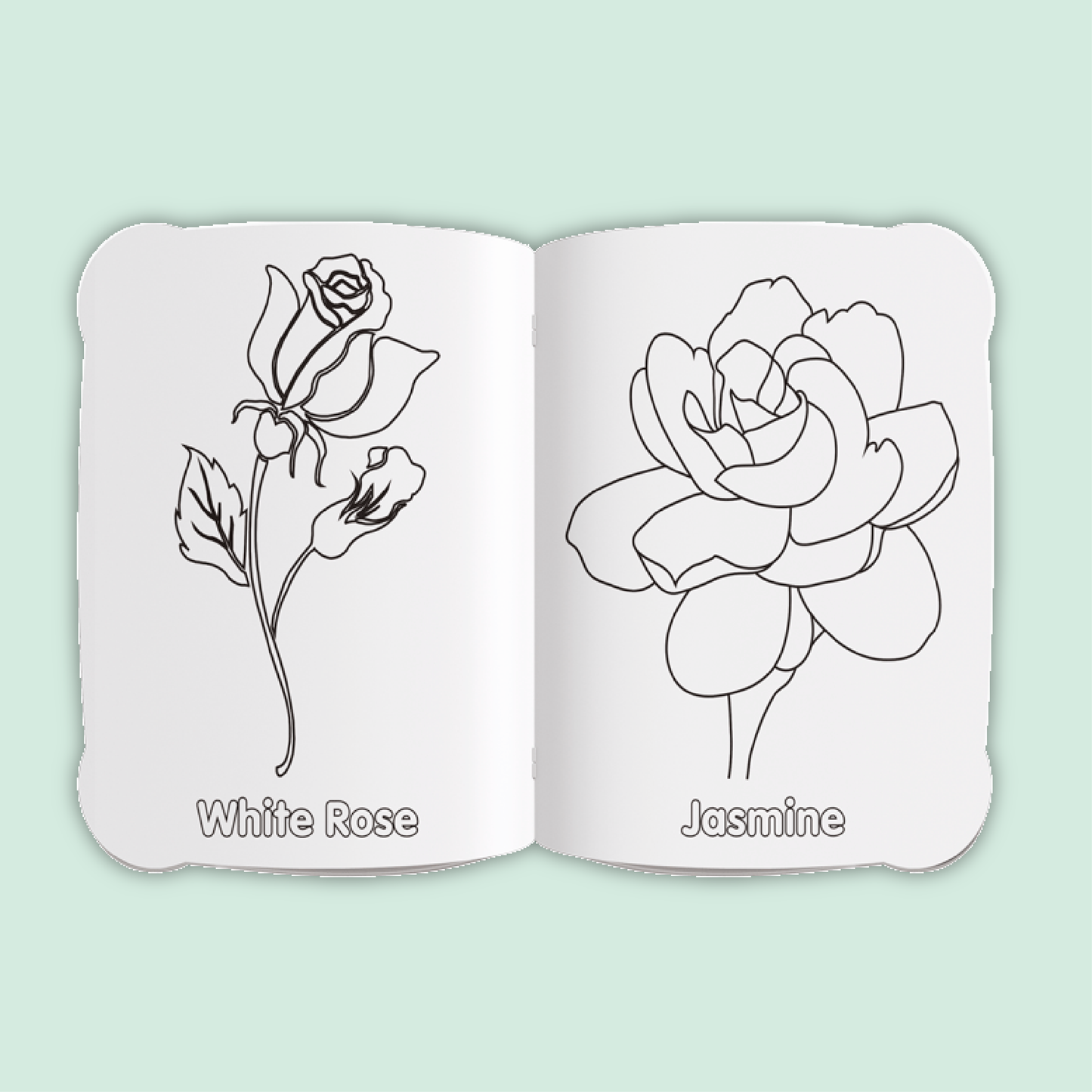 Activity & Colour Fun | Flowers