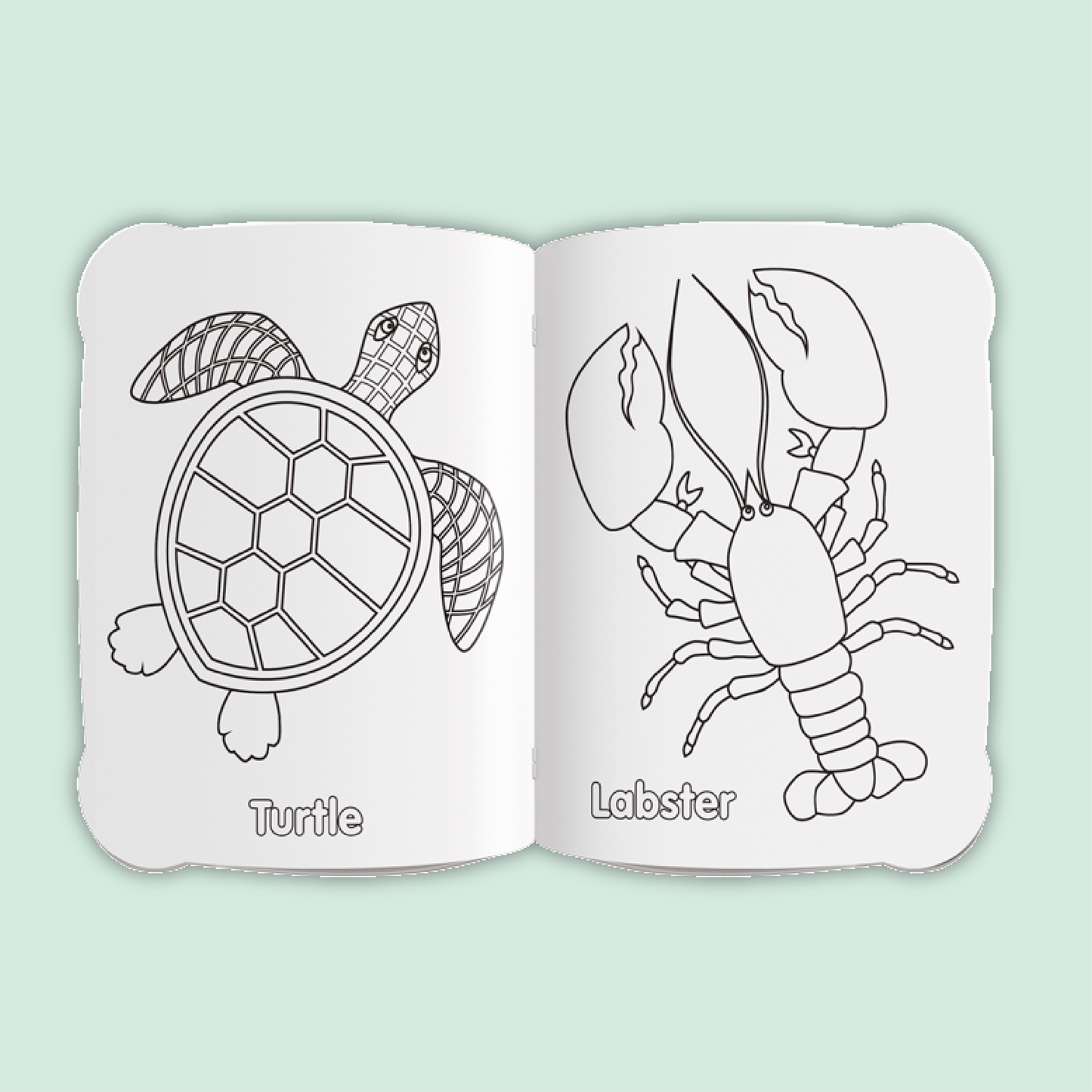 Activity & Colour Fun | Sea Creatures