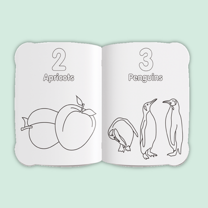 Activity & Colour Fun | Counting