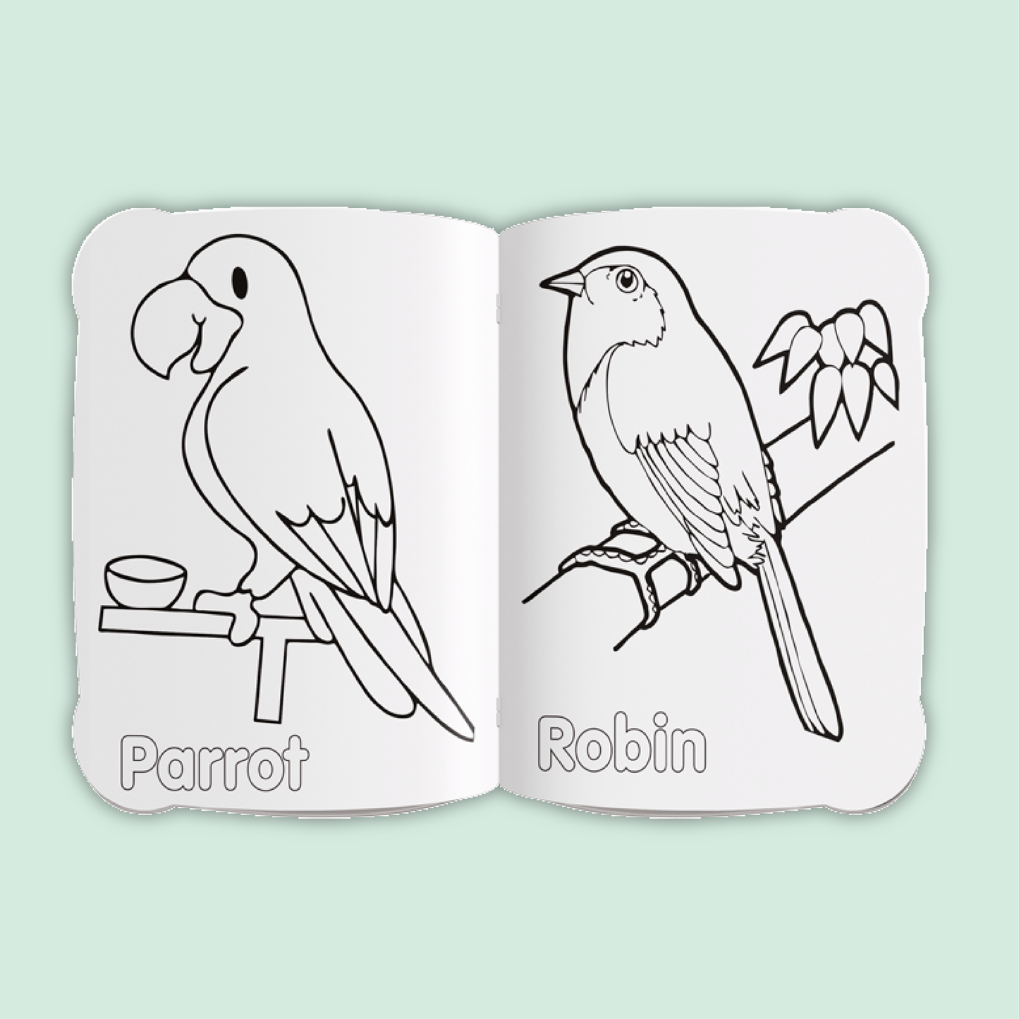 Activity & Colour Fun | Birds