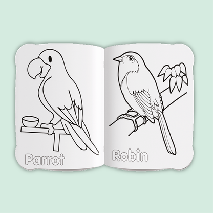 Activity & Colour Fun | Birds
