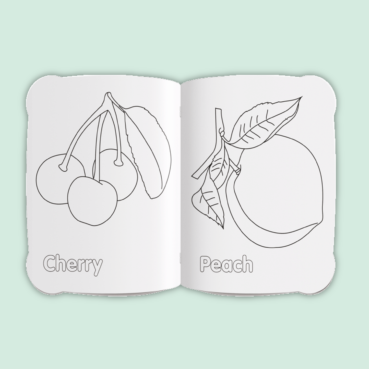 Activity & Colour Fun | Fruits