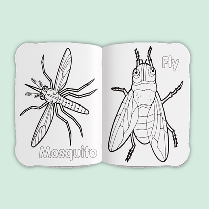 Activity & Colour Fun | Insects