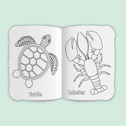 Activity & Colour Fun | Sea Creatures